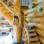 Forest Glade - Koca Na Jasi Dom wakacyjny