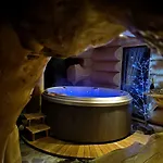 Forest Glade - Koca Na Jasi