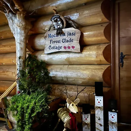 Tatil Evi Forest Glade - Koca Na Jasi Recica ob Savinji